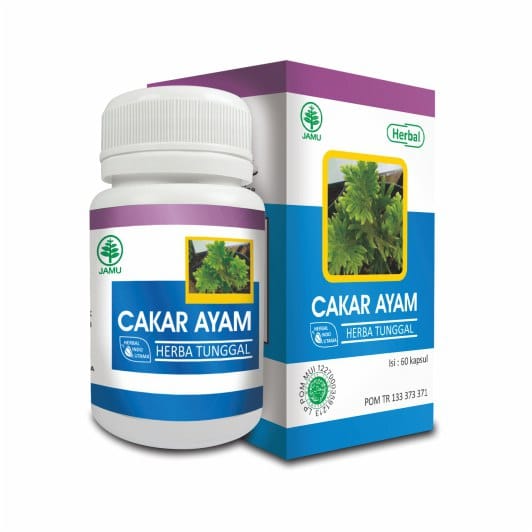 cakar ayam stok herbal